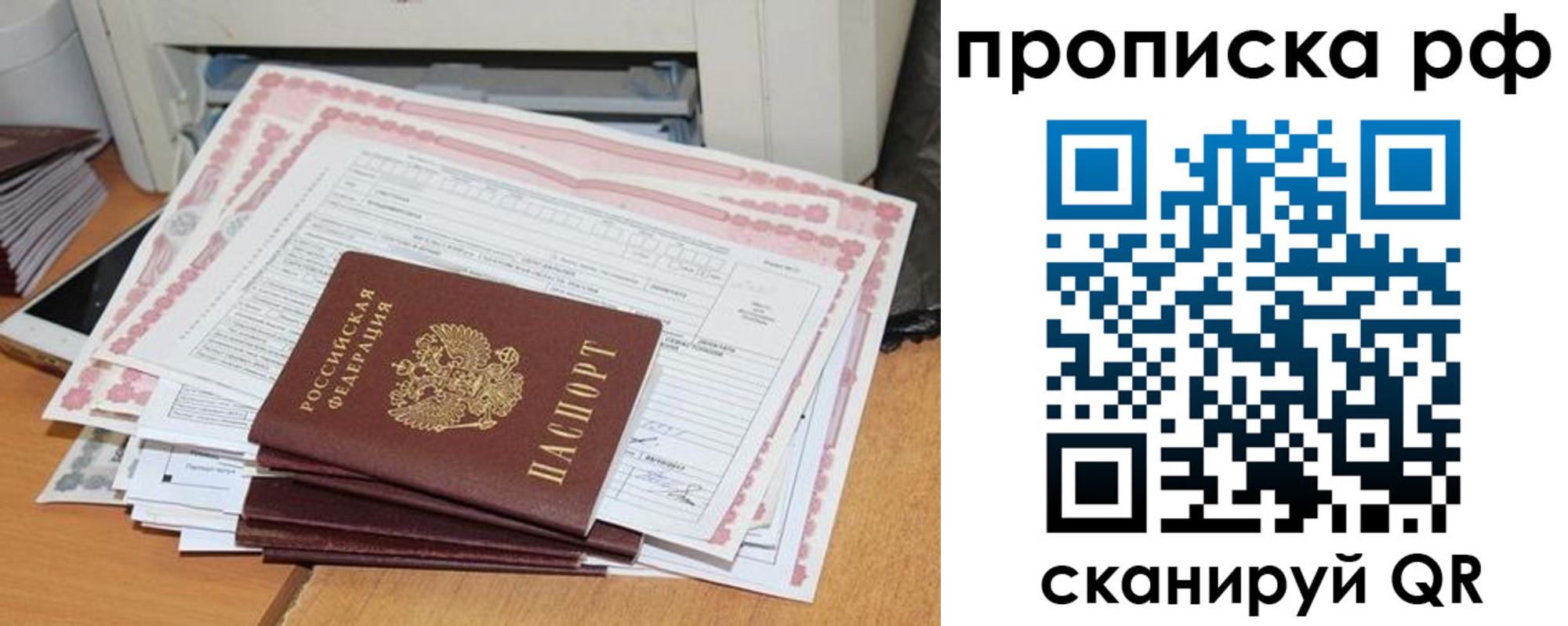 прописка гарантия в Гвардейске
